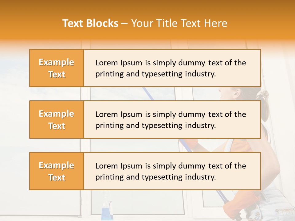 A Woman Cleaning Windows With A Mop PowerPoint Template