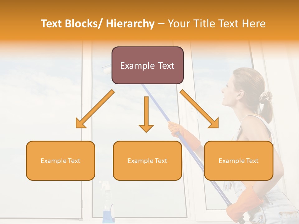 A Woman Cleaning Windows With A Mop PowerPoint Template