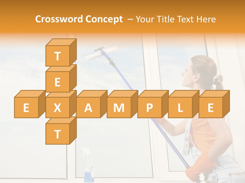 A Woman Cleaning Windows With A Mop PowerPoint Template