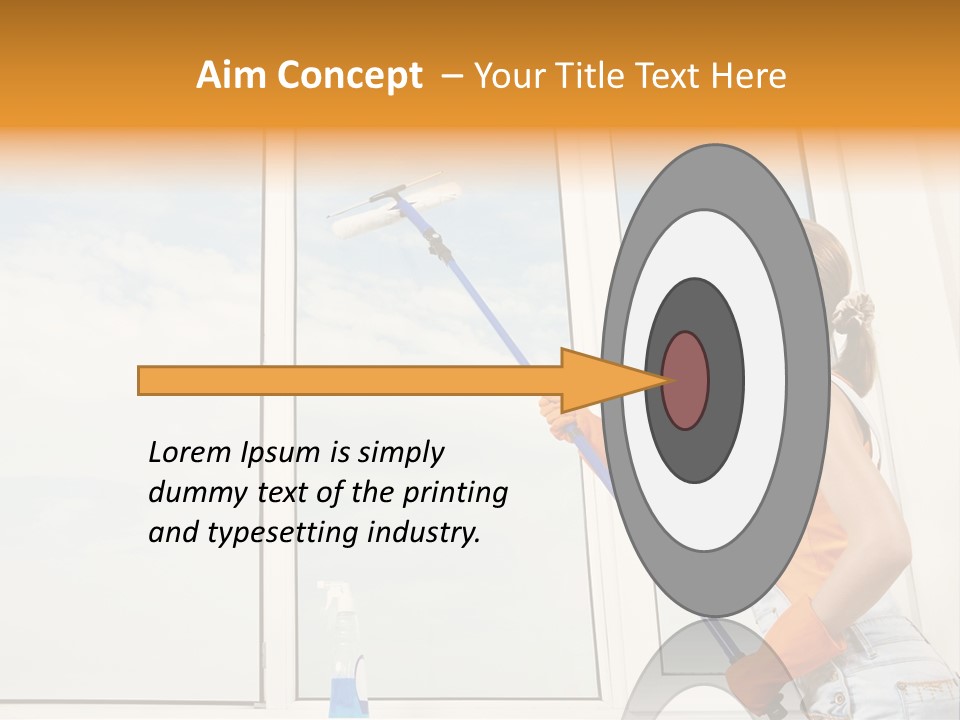 A Woman Cleaning Windows With A Mop PowerPoint Template