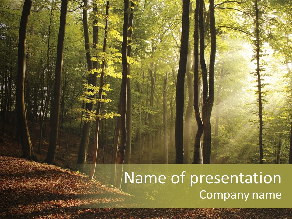 Perspective Lake Ray PowerPoint Template