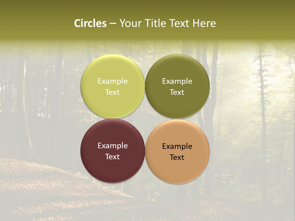 Perspective Lake Ray PowerPoint Template