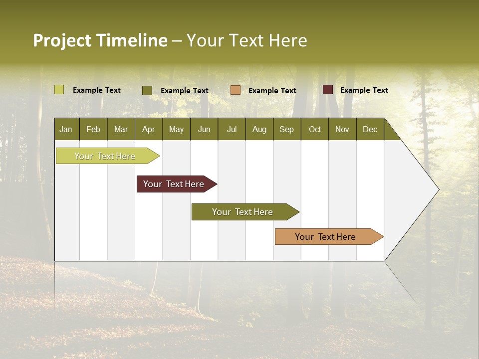 Perspective Lake Ray PowerPoint Template