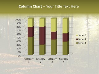 Perspective Lake Ray PowerPoint Template