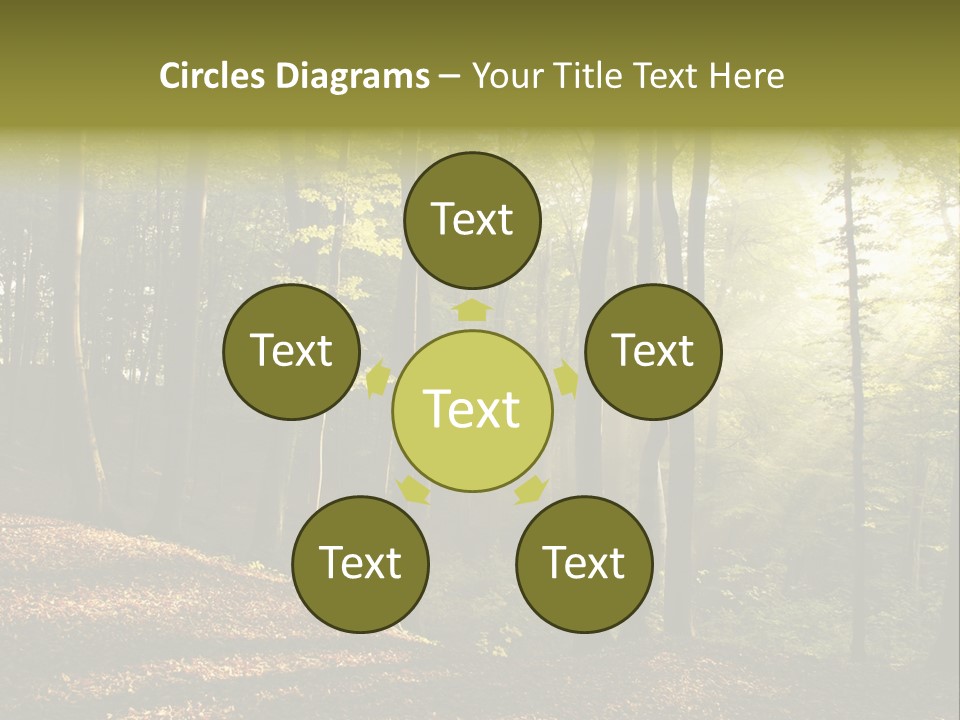 Perspective Lake Ray PowerPoint Template