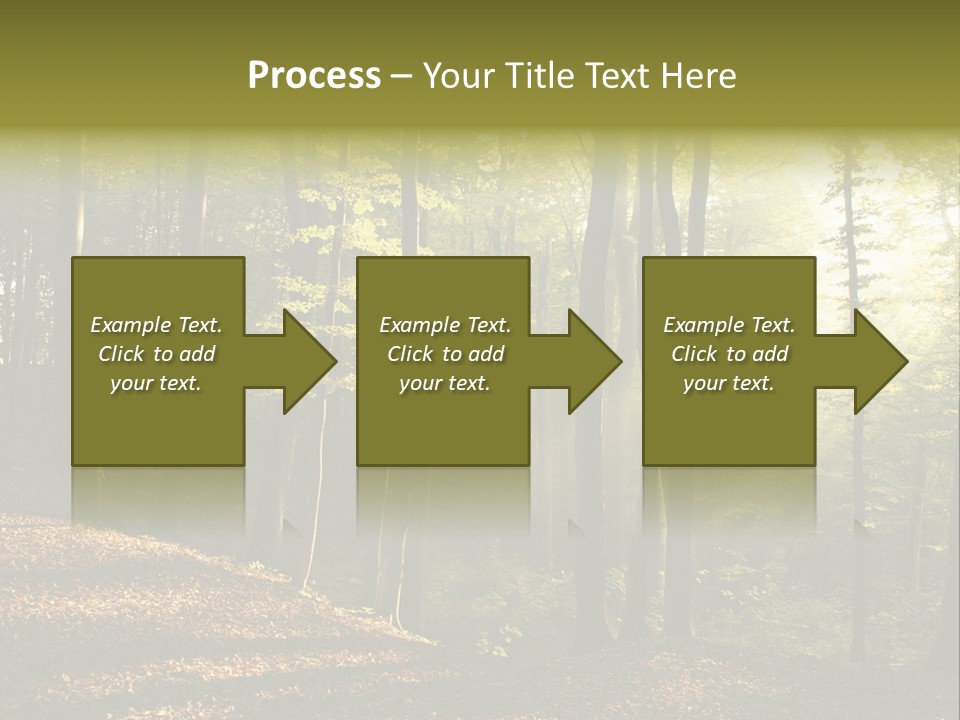 Perspective Lake Ray PowerPoint Template
