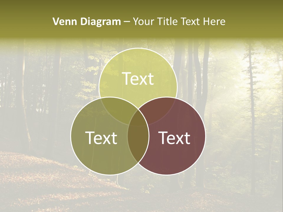 Perspective Lake Ray PowerPoint Template