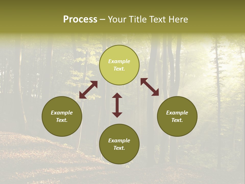 Perspective Lake Ray PowerPoint Template