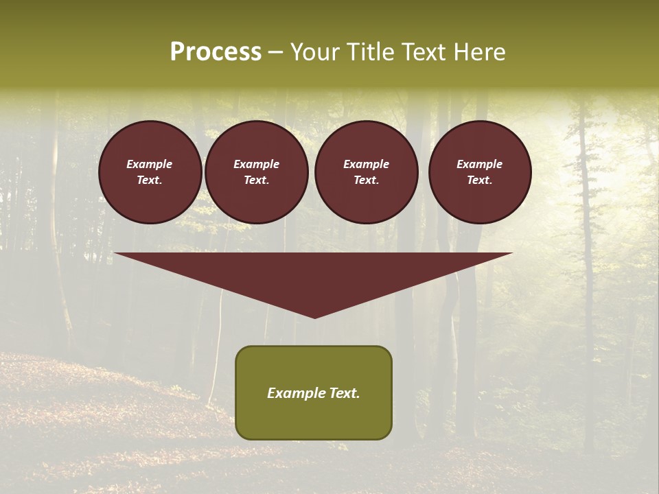 Perspective Lake Ray PowerPoint Template