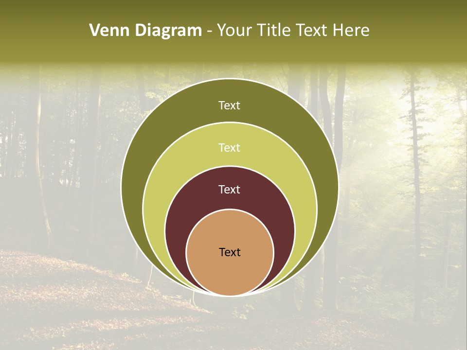 Perspective Lake Ray PowerPoint Template