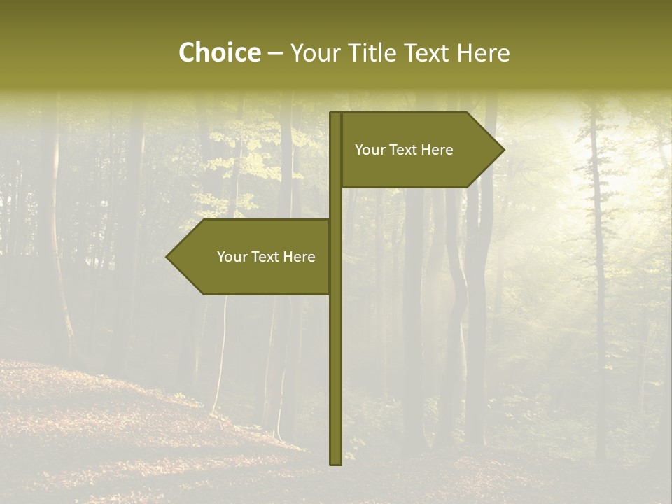 Perspective Lake Ray PowerPoint Template