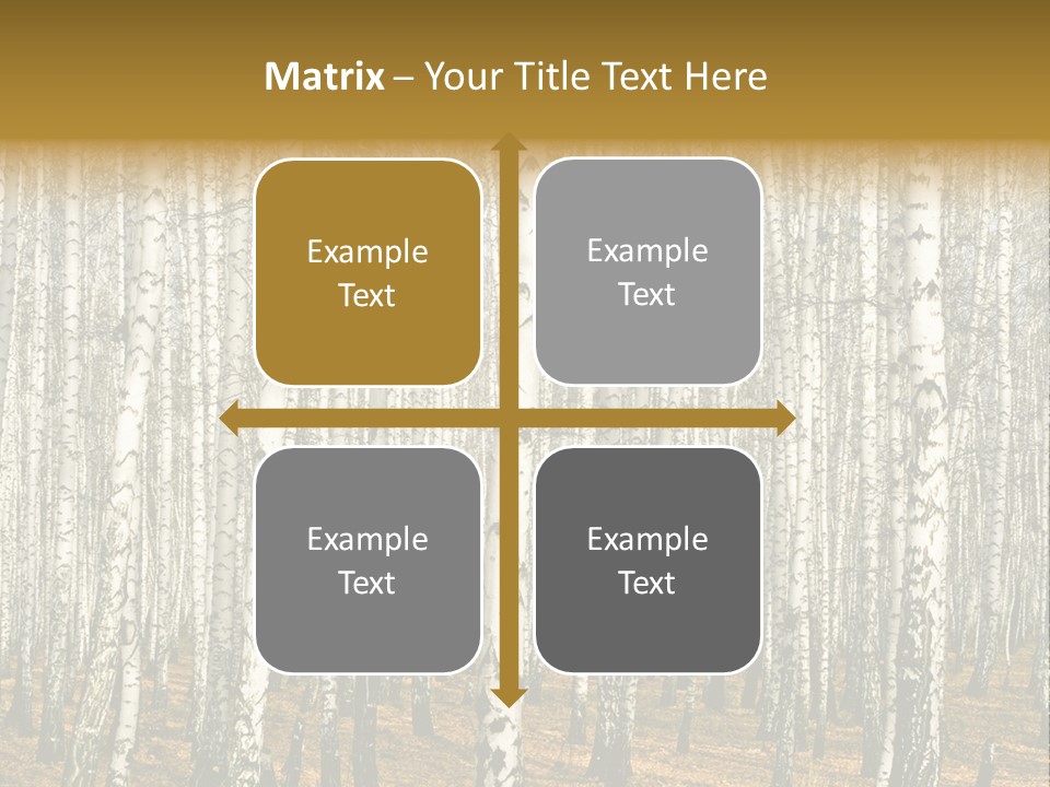 Bark Still Wildlife PowerPoint Template