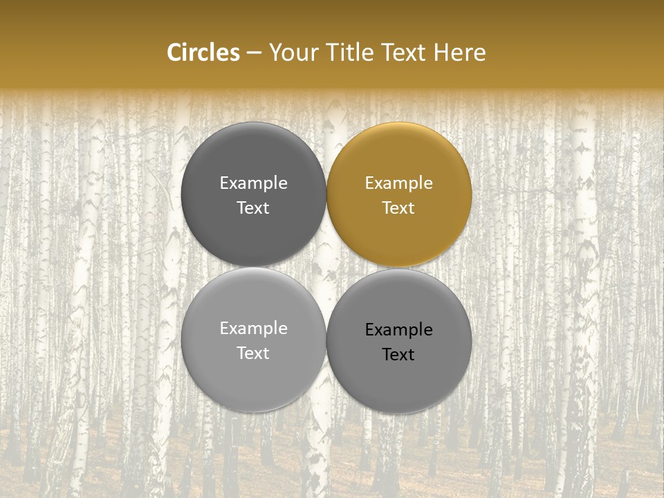 Bark Still Wildlife PowerPoint Template