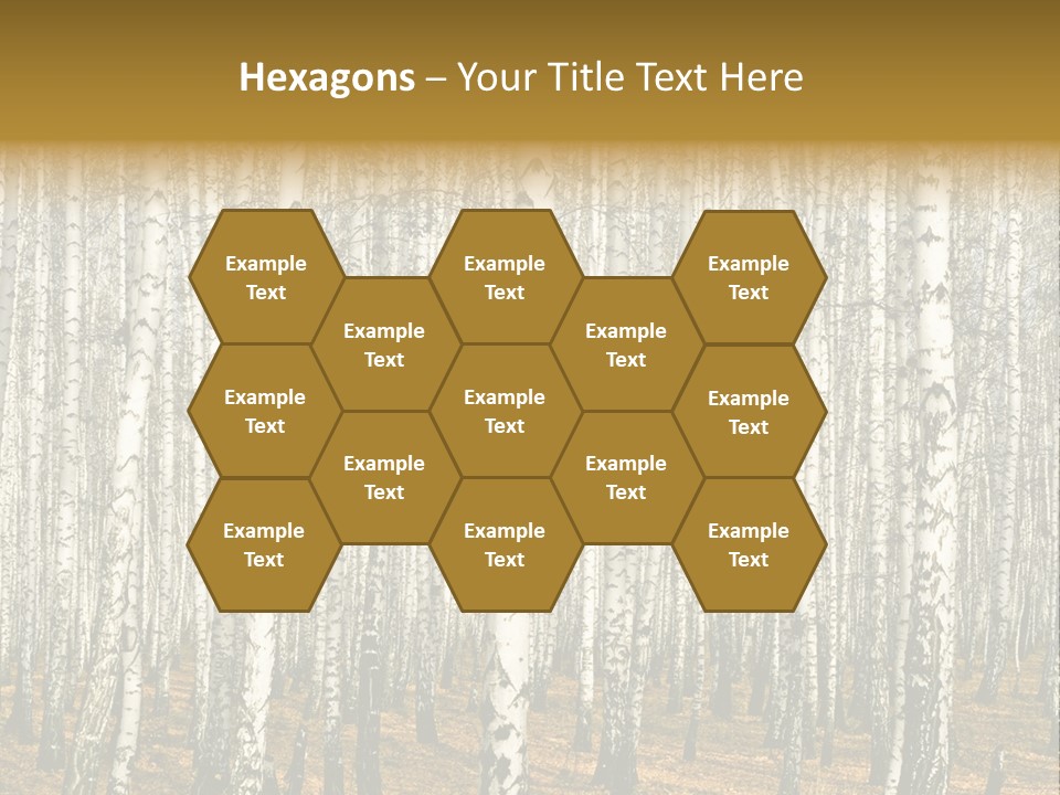 Bark Still Wildlife PowerPoint Template