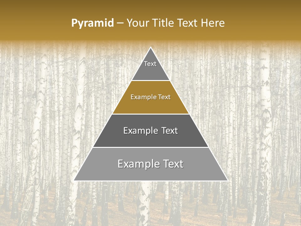 Bark Still Wildlife PowerPoint Template