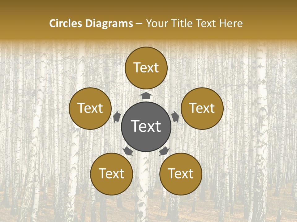 Bark Still Wildlife PowerPoint Template