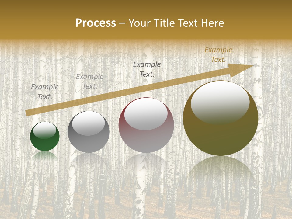 Bark Still Wildlife PowerPoint Template