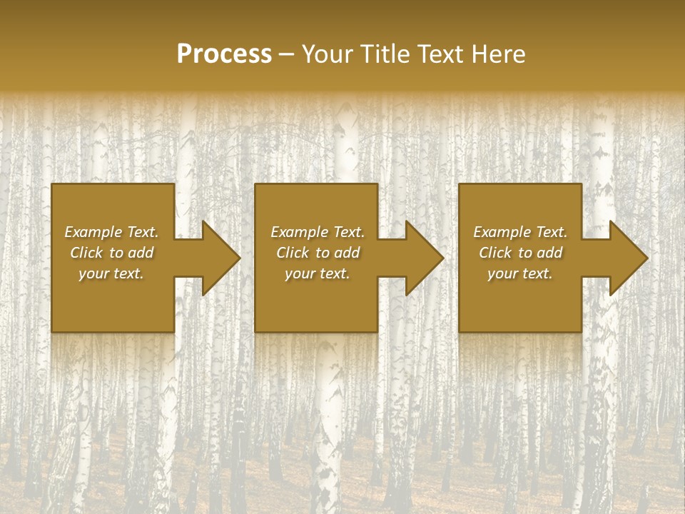 Bark Still Wildlife PowerPoint Template