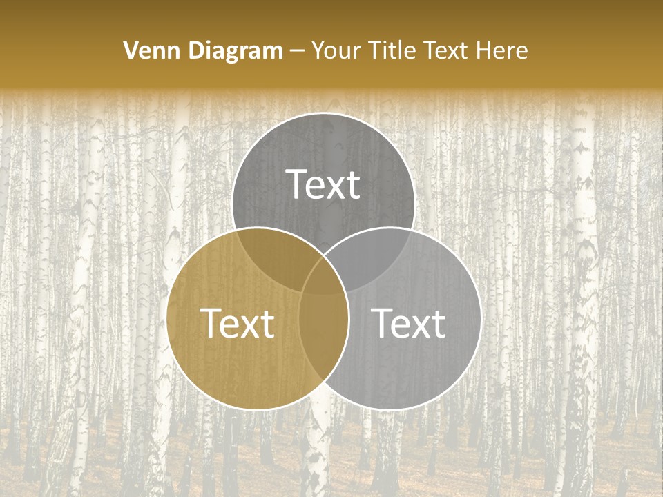 Bark Still Wildlife PowerPoint Template