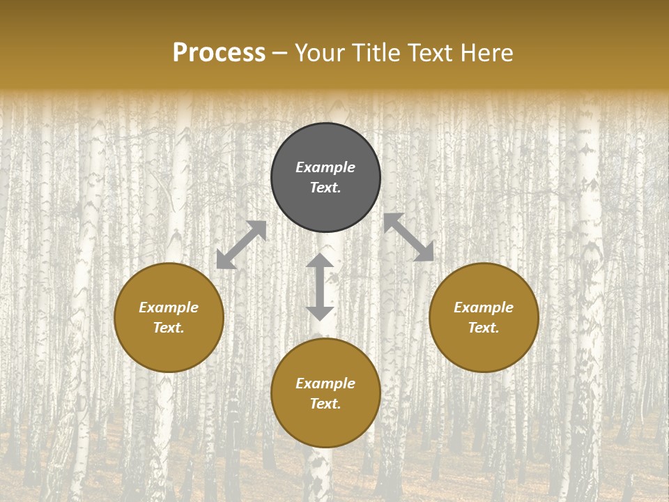 Bark Still Wildlife PowerPoint Template