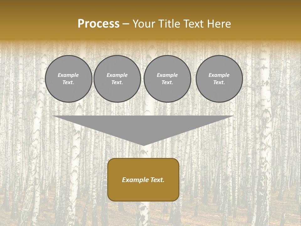 Bark Still Wildlife PowerPoint Template
