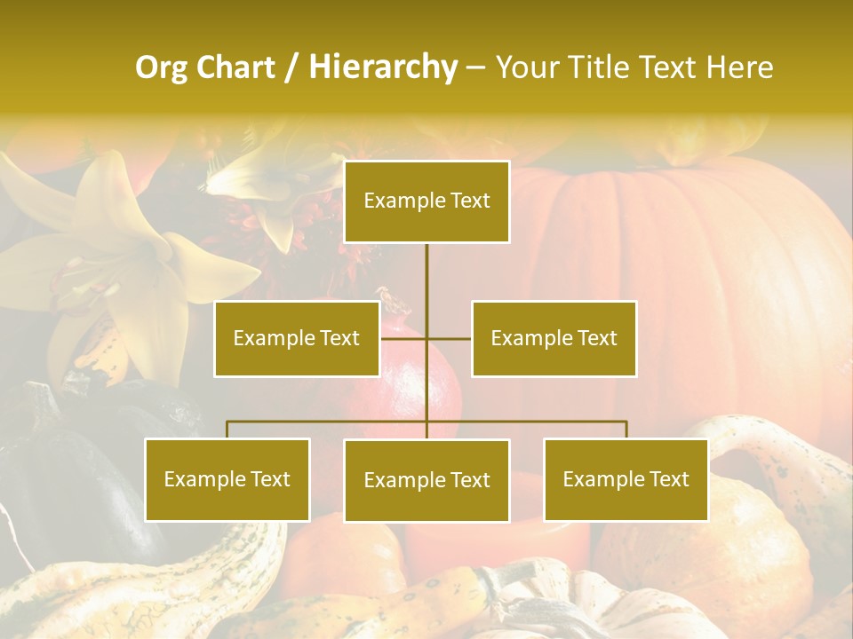 A Bunch Of Pumpkins And Squash On A Table PowerPoint Template