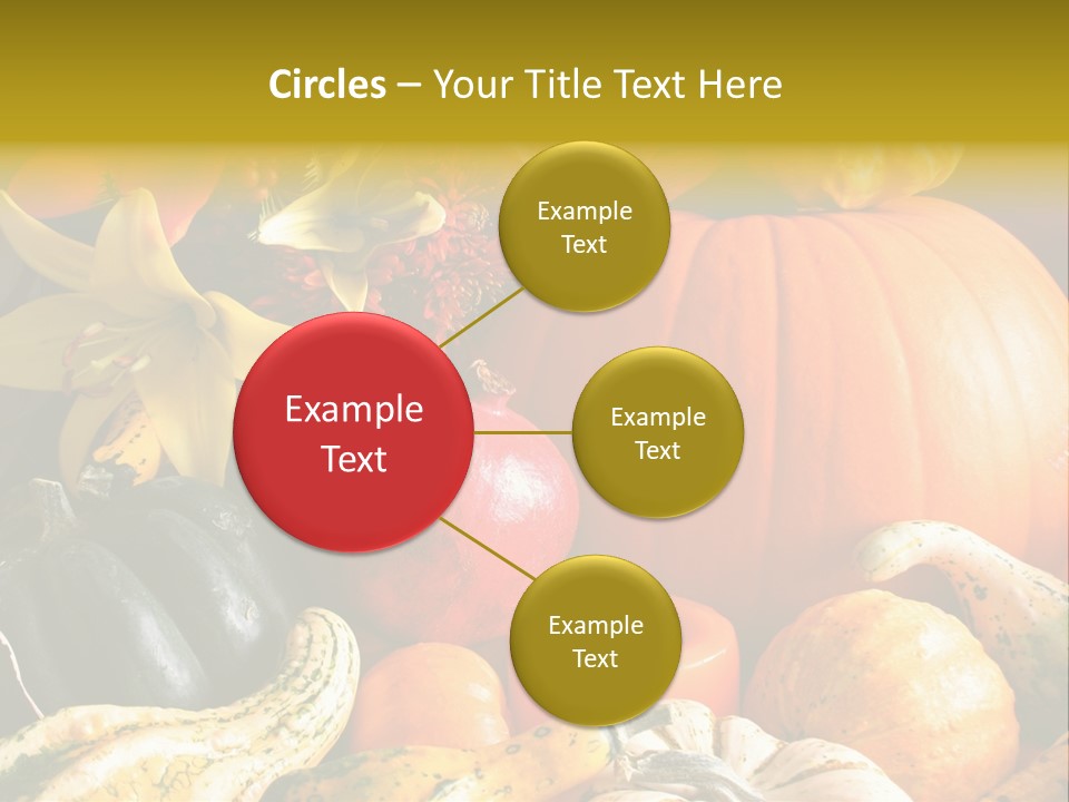 A Bunch Of Pumpkins And Squash On A Table PowerPoint Template