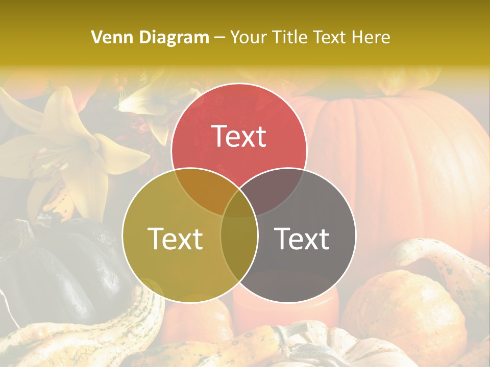 A Bunch Of Pumpkins And Squash On A Table PowerPoint Template