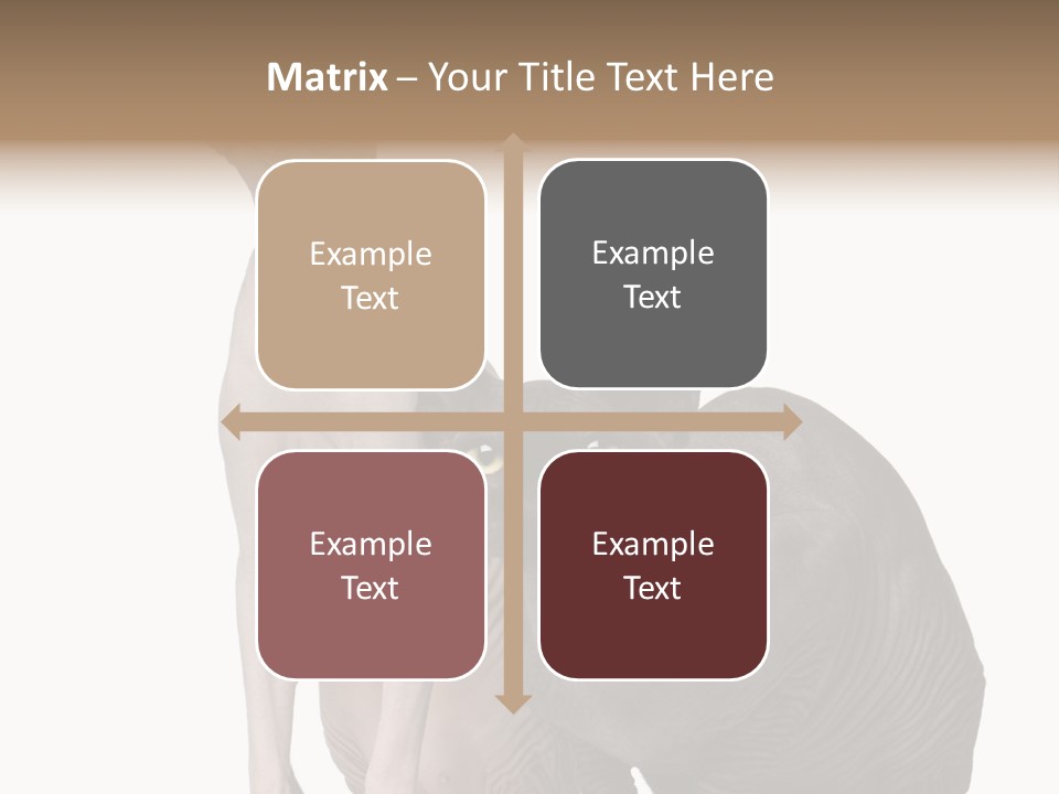 Indoors Foreground Low PowerPoint Template