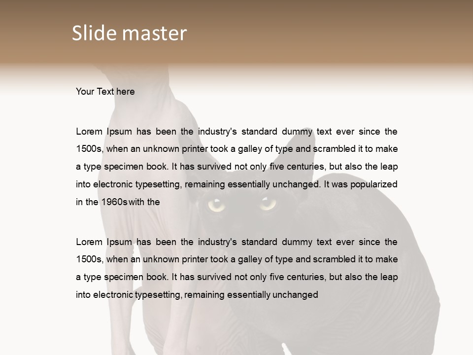 Indoors Foreground Low PowerPoint Template