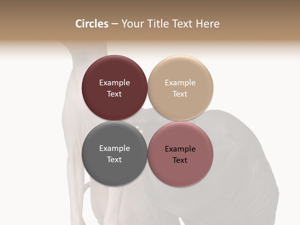 Indoors Foreground Low PowerPoint Template