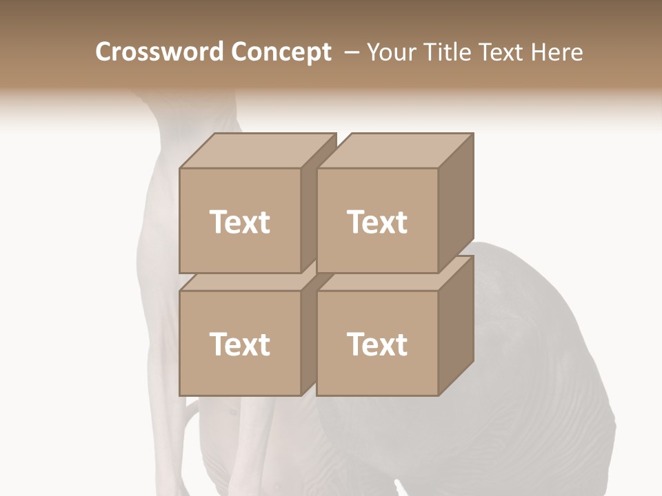 Indoors Foreground Low PowerPoint Template
