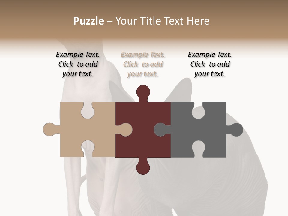 Indoors Foreground Low PowerPoint Template