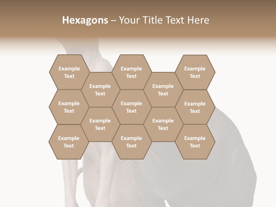 Indoors Foreground Low PowerPoint Template