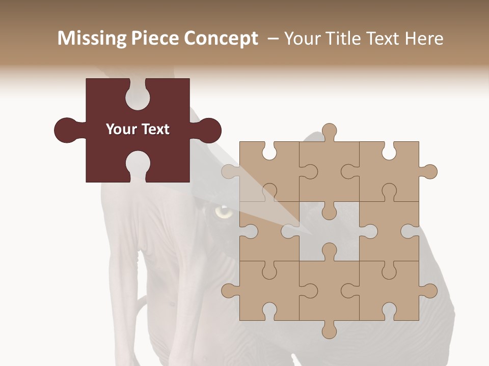 Indoors Foreground Low PowerPoint Template