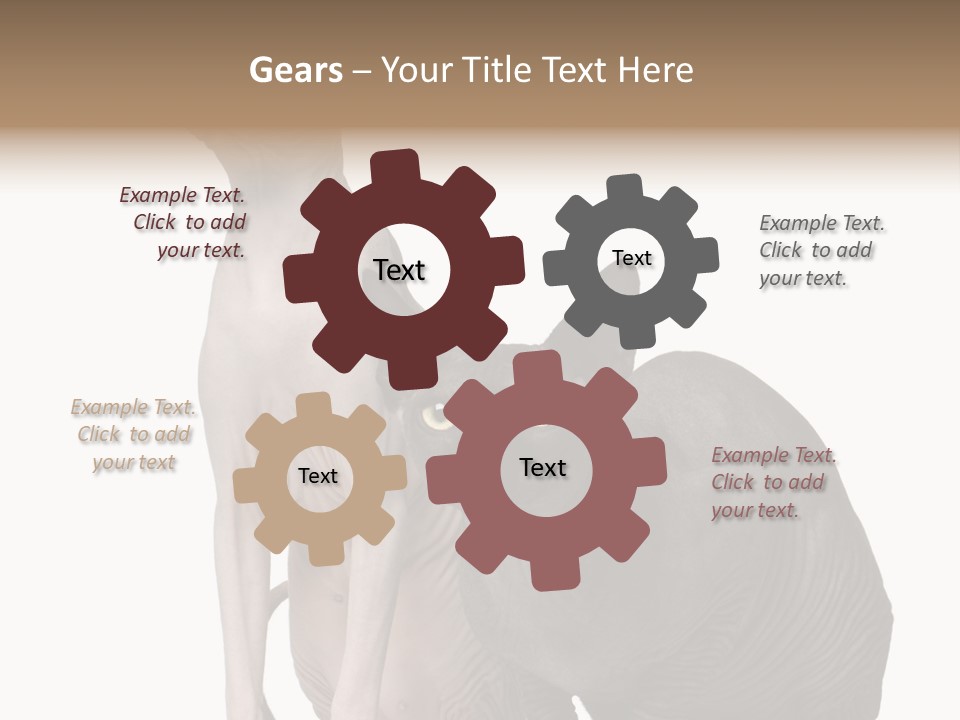 Indoors Foreground Low PowerPoint Template