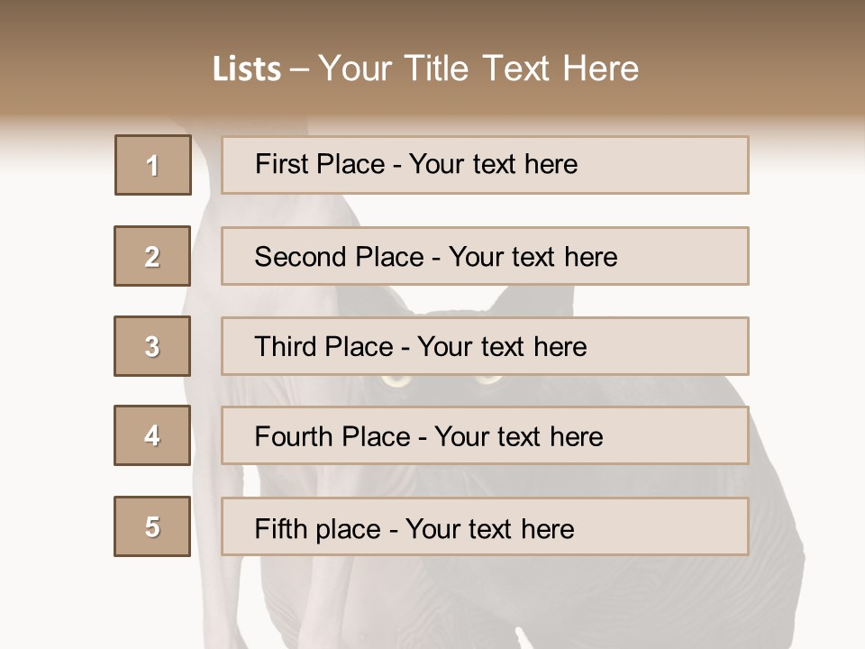 Indoors Foreground Low PowerPoint Template