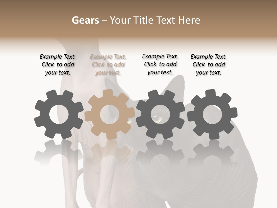 Indoors Foreground Low PowerPoint Template