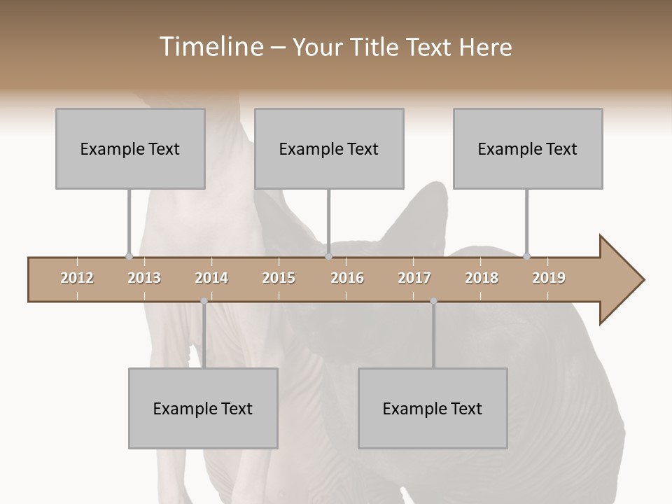 Indoors Foreground Low PowerPoint Template