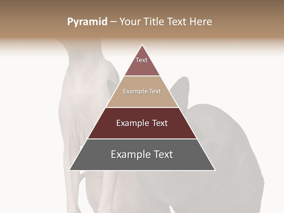 Indoors Foreground Low PowerPoint Template