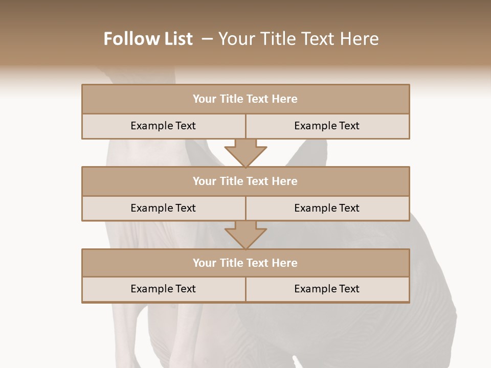 Indoors Foreground Low PowerPoint Template