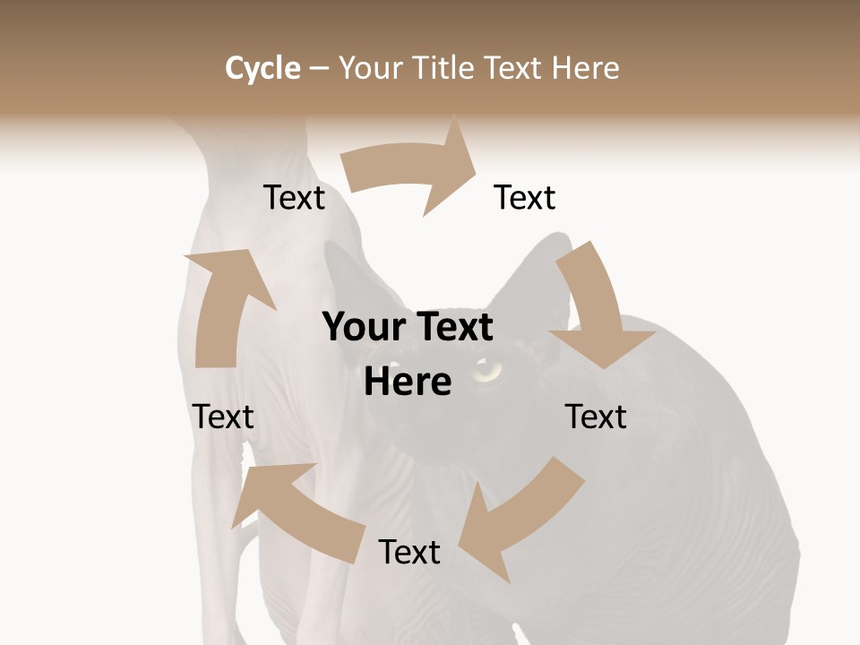 Indoors Foreground Low PowerPoint Template