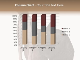 Indoors Foreground Low PowerPoint Template