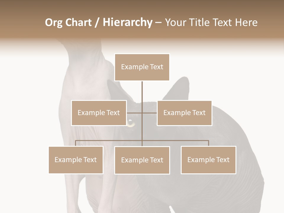 Indoors Foreground Low PowerPoint Template