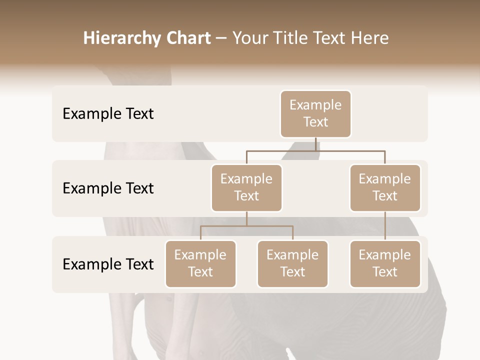 Indoors Foreground Low PowerPoint Template