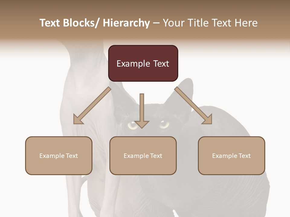 Indoors Foreground Low PowerPoint Template