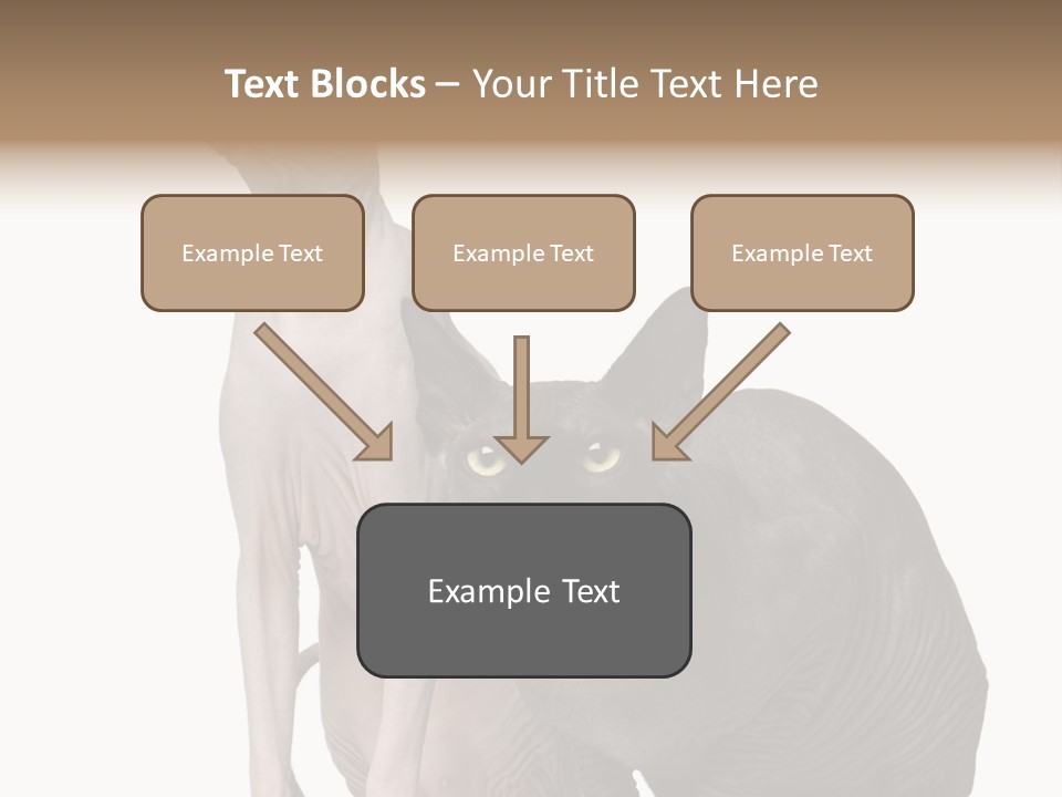 Indoors Foreground Low PowerPoint Template