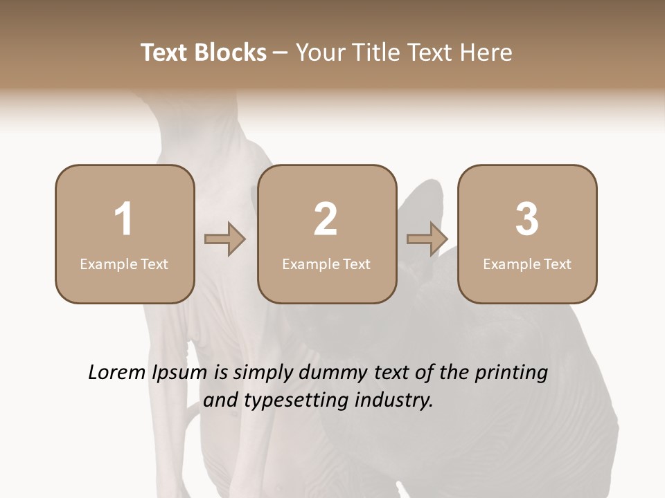 Indoors Foreground Low PowerPoint Template