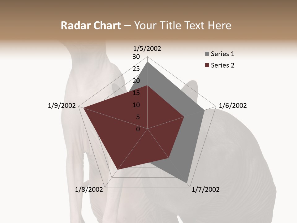 Indoors Foreground Low PowerPoint Template