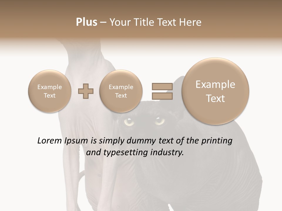 Indoors Foreground Low PowerPoint Template